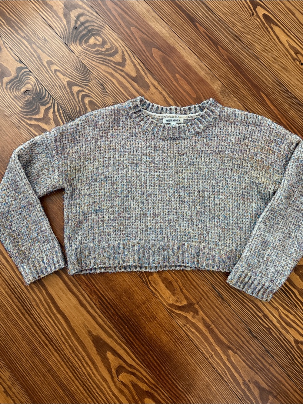 Wild Honey Multicolor  metallic Crewneck Cropped Sweater
